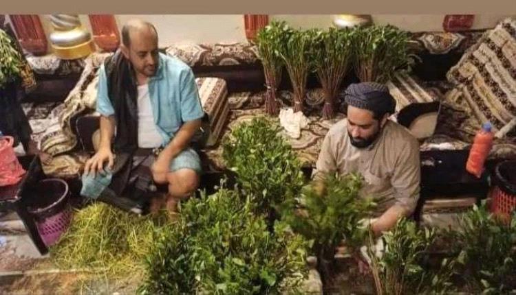 ليس هرري.. صحفي يمني يكشف نوع القات المستورد في عدن وخطورة السموم فيه