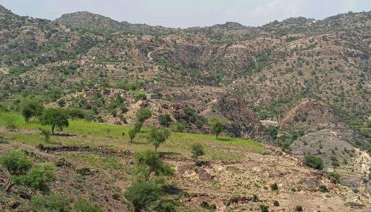 القوات الجنوبية تخمد نيران حوثية بضواحي مسيمير لحج