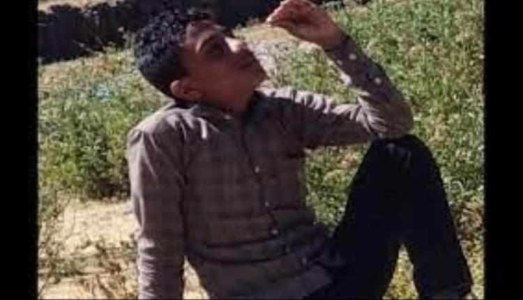 مسلحو الحوثي يصفون النهاري في إب