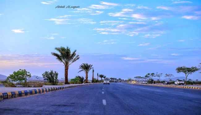 شاب خان الأمانة في مأرب بنحو 300 ألف ريال سعودي