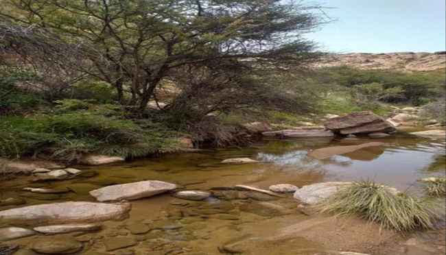 الحوثي يحرم ذمار من الماء ويبيعه لمزارع القات في رداع