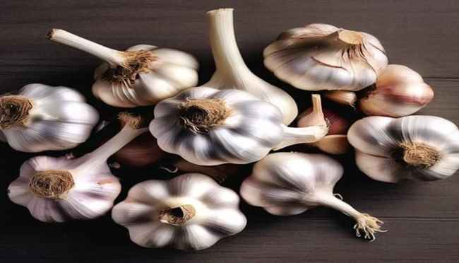الثوم مكون سحري لمحاربة الكوليسترول وتخفيض نسبة السكر في الدم