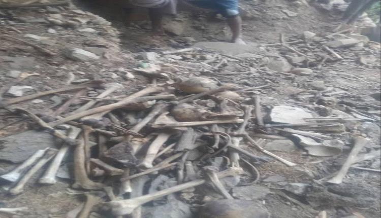 عصابة حوثية تنبش مقبرة أثرية جنوب صنعاء وتخرج الموميات وتنثر هياكلها العظمية