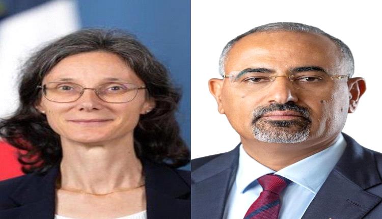 اخر مستجدات الوضع الإنساني وعملية السلام في لقاء يمني فرنسي