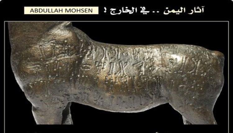 عرض حمار يمني في متحف بريطاني شهير