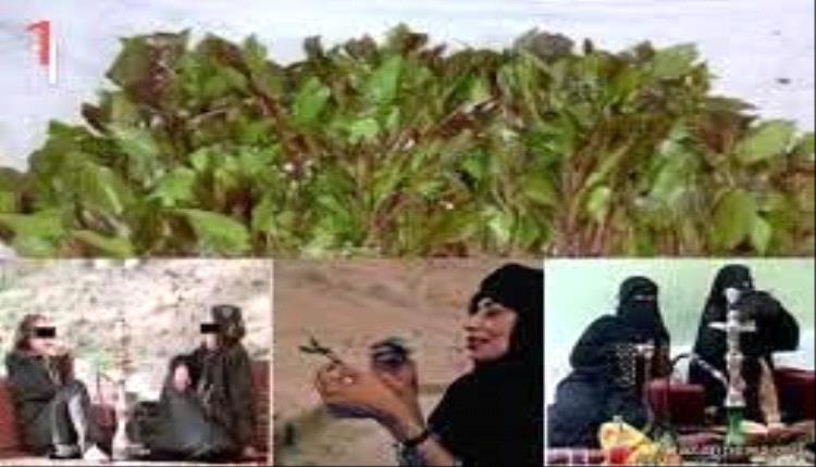 مجالس القات النسائية في تعز... قات وشيشة... دندنة وسياسة... غيبة ونميمة