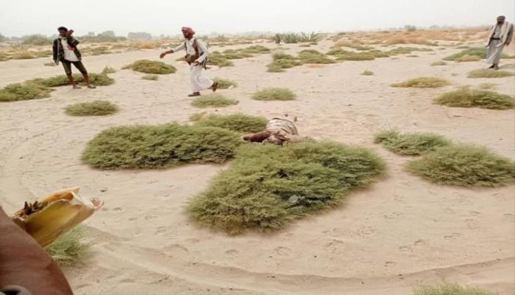 العثور على شاب مقتولا في المتون