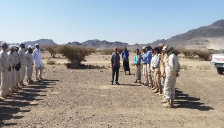 تفكيك 4 حقول ألغام حوثية في أهم منطقة يمنية