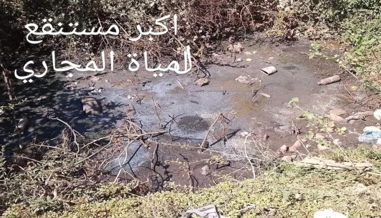 غزو البعوض يجتاح تجمعات سكانية في المظفر تعز ويهدد حياة الأهالي بالأرق والمرض