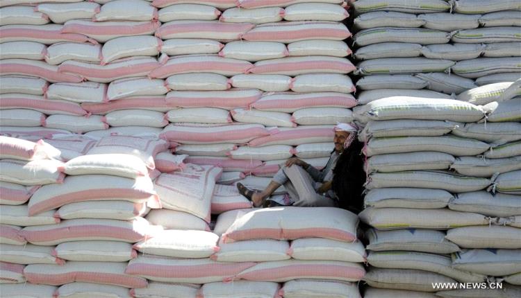 القمح ينهار عالميا ويشتعل في اليمن.. شاهد صدمة فارق الأسعار