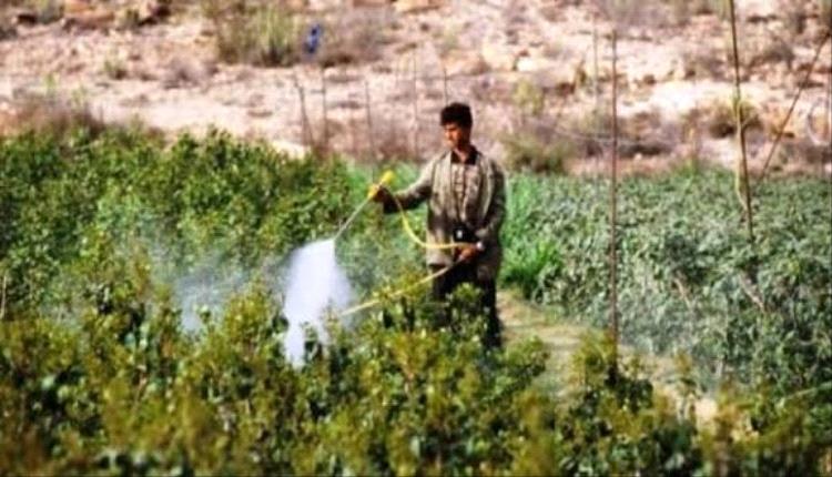 محاولة سرقة تنتهي باشتباكات دامية في البيضاء ومقتل اثنين من المهاجمين