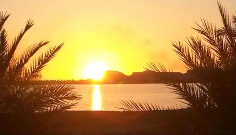 اكتشاف علاقة بين فيتامين الشمس والصحة النفسية