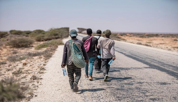 17 ألف مهاجر أفريقي يدخلون اليمن في نوفمبر