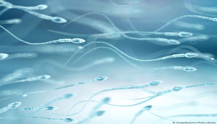 ابتكار صيني لعلاج العقم الذكري