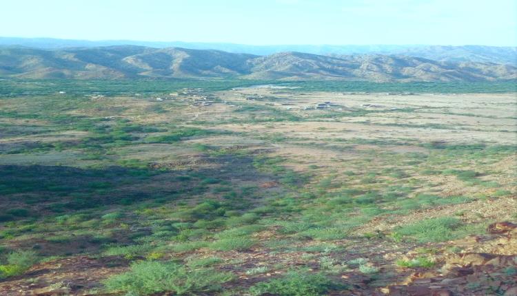 قبيلة آل شاجرة الربيز تعلن حظرا قبليا على تواجد القاعدة وتؤكد دعمها الكامل للقوات الأمنية