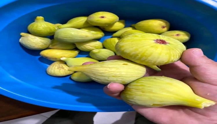 5 أسباب تجعلك تتناول فاكهة التين هذا الشتاء.. تعرف عليها 