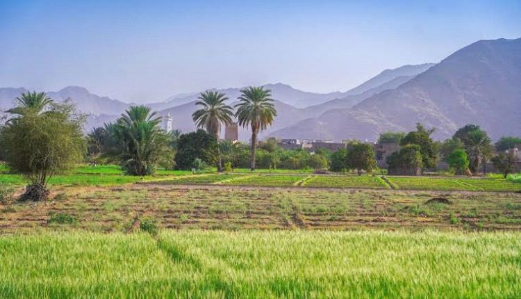 من قلب الفتنة يولد السلام.. أبو عمر الجُعري يقود أعظم صلح قبلي وينهي مأساة دامت جيلين بعين شبوة