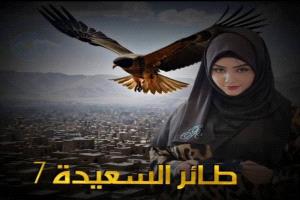 قناة السعيدة تقرر إيقاف برنامج 