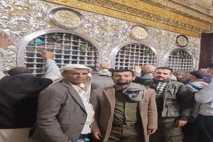 3 من بائعي القات يجتمعون على سرير السرطان في القاهرة بسبب السموم الخطيرة في مزارعهم