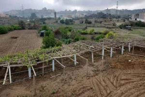 فلكي يمني يبشر بتراجع حدة الصقيع خلال الساعات المقبلة