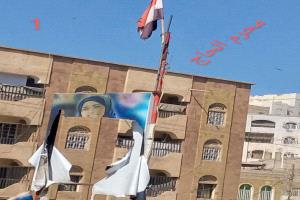 ما زالت تقاتل وترعبهم.. تمزيق صورة أفتهان المشهري في تعز يُولد تضامناً شعبياً جديداً