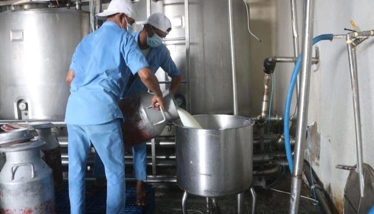 ألبان الحديدة تحت سطوة الحوثيين: نهب ممنهج يهدد صناعة الحليب في اليمن