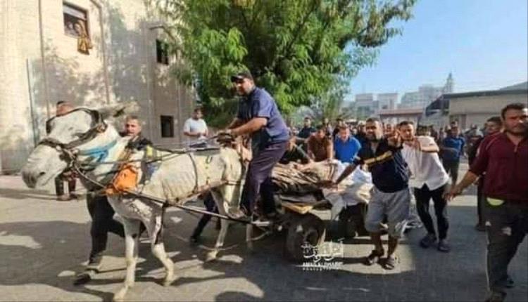 جيش الإحتلال الإسرائيلي يسرق الحمير من غزة ويصدرها للخارج