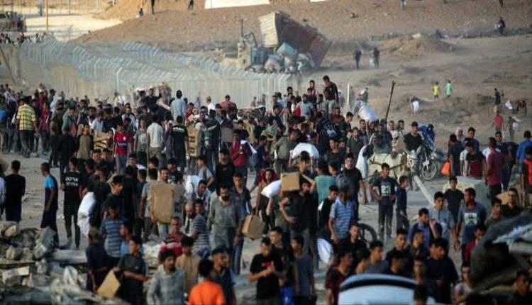 الأمم المتحدة.. 798 قتيلًا حصيلة مجازر الأمعاء الخاوية في غزة