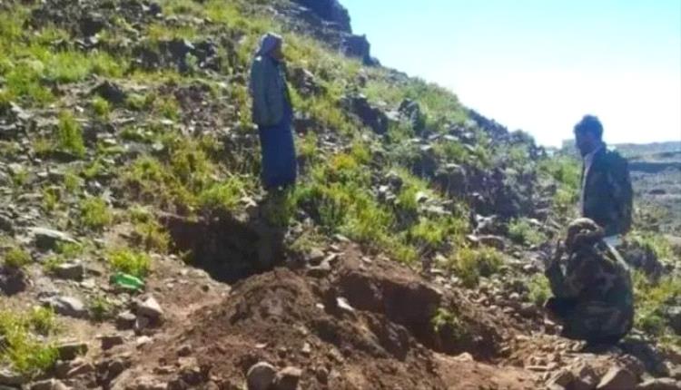 عصابة مسلحة تهاجم موقعا أثريا في إب