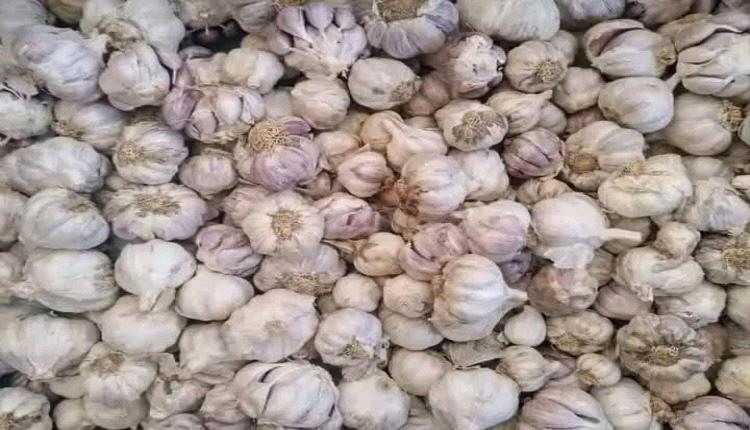 شاهد ما يحدث لجسمك عند تناول الثوم بانتظام