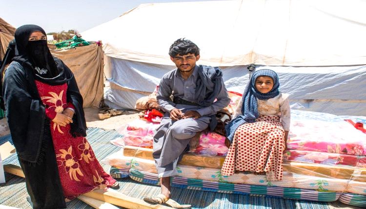 المجاعة تزحف: تقرير أممي يحذر من تصاعد كارثي في الجوع بإب ومأرب