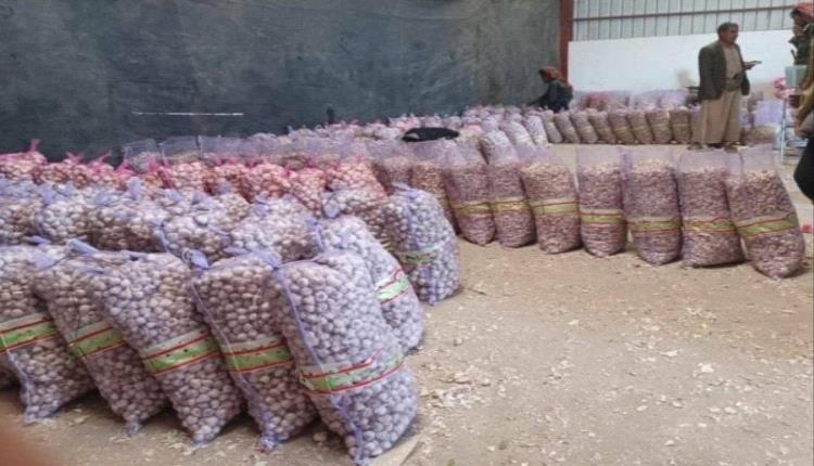 جبايات حوثية على الثوم في صنعاء.. ومصادر تكشف خفايا الحملة