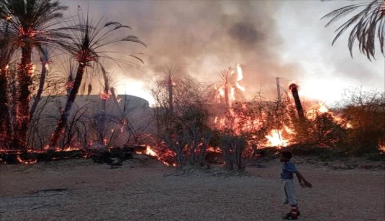 حريق ضخم يلتهم أكثر من 150 نخلة في حضرموت وسط ظروف غامضة
