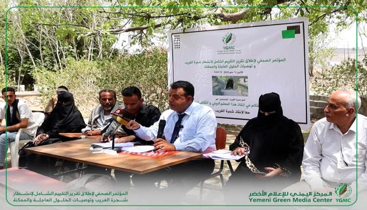 حارسة الدهر تحتضر.. تقرير صادم يكشف انهيارًا وشيكًا لـ"شجرة الغريب" التاريخية في تعز