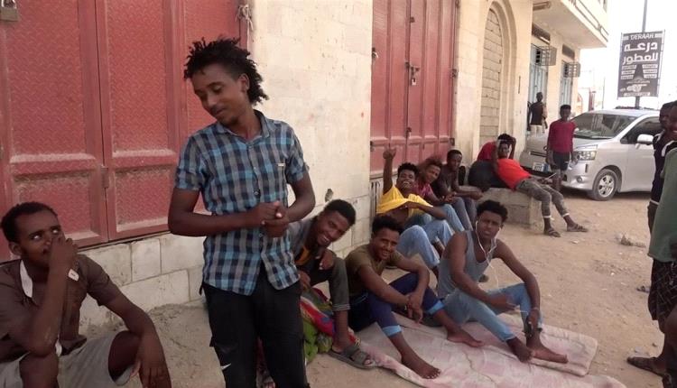 تحرك حكومي في شبوة لاحتواء ظاهرة النازحين الأفارقة