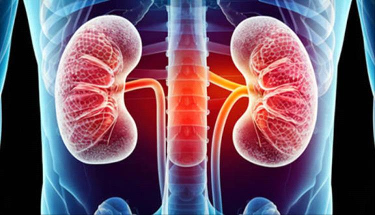 تغييرات بسيطة في نمط الحياة تدعم صحة الكلى