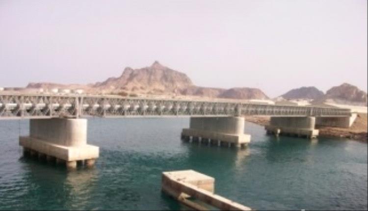 تحذير عاجل من وجود سمكة قرش بطول 3 متر في بحر جسر البريقة غرب عدن