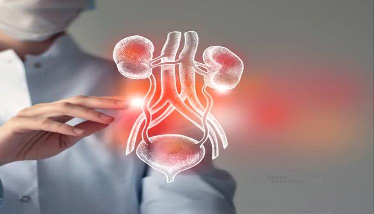 نظام غذائي وسلوكيات صحية لتخفيف ألم التهاب المثانة والوقاية منه