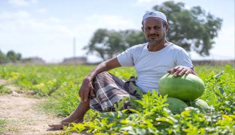 فرمانات الحصاد.. الحوثي يصادر قرار المنجل ويعيد المزارع إلى زمن عامل الإمام