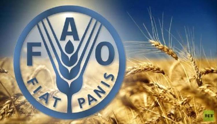 خطة دولية لدعم 9.38 مليون شخص في اليمن حتى 2027