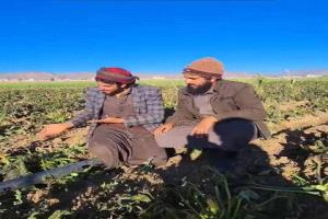 فلكي يحذر من موجة صقيع هي الأشد هذا الموسم تضرب مرتفعات هذه المحافظات خلال أيام