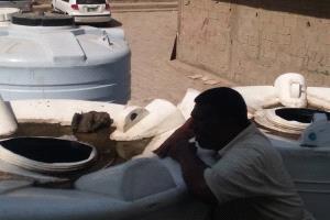 مدير صحة البيئة بصيرة يدعو المواطنين لإغلاق خزانات المياه والحد من تسربها لمكافحة انتشار البعوض