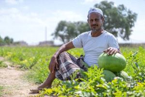 فرمانات الحصاد.. الحوثي يصادر قرار المنجل ويعيد المزارع إلى زمن عامل الإمام