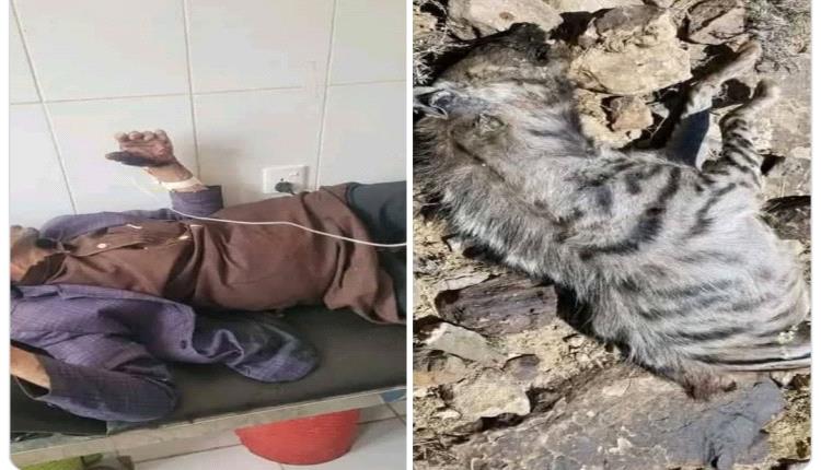 مواجهة دامية في صنعاء.. ستيني يهزم حيوان مفترس بيديه العاريتين وينجو من موتٍ محقق