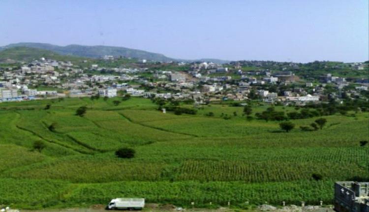 الخضروات المسمومة.. إب على حافة كارثة صحية جراء ريّ المزارع بمياه المجاري