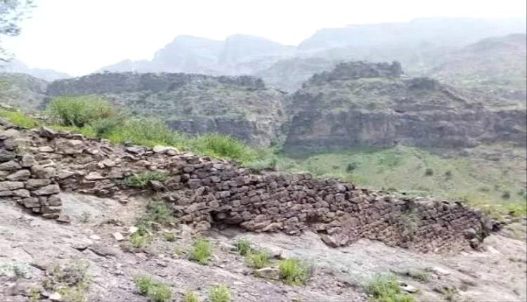 غرق 3 شقيقات أثناء جلب الماء في تعز بسبب غياب الخدمات الأساسية