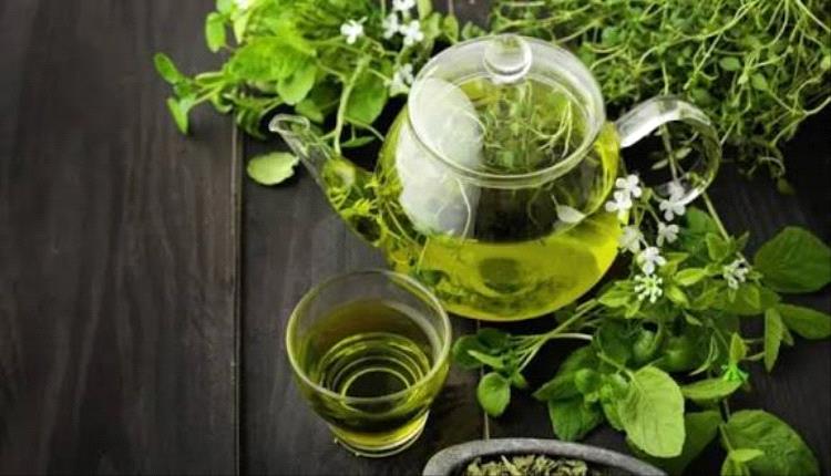 حافظ على ذكائك.. نظام غذائي أخضر يبطئ شيخوخة الدماغ
