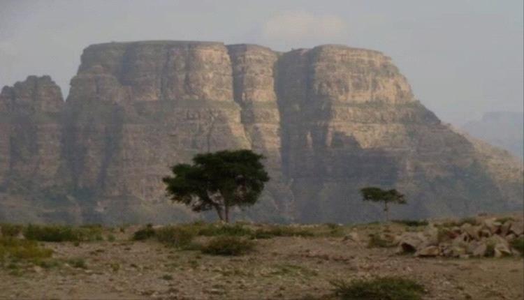التحقيق جارية.. العثور على جثة رجل أسفل هيجة العبد بلحج