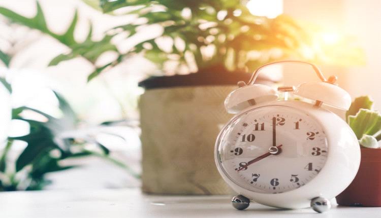 5 عادات صباحية تخليك نشيط وأكثر إنتاجية 