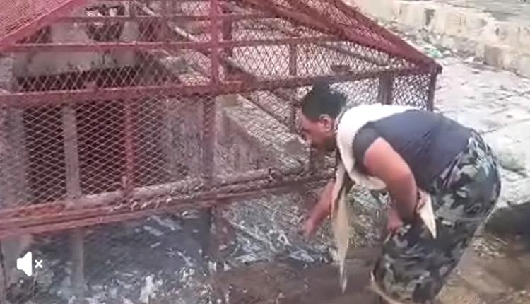 السيول تبتلع ثالث طفل في تعز بأقل من 48 ساعة